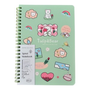 CADERNO ANOTAÇÕES REF.6825-45